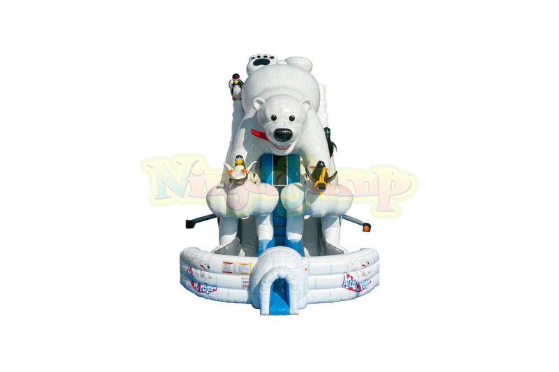 Arctic Plunge with Polar Bear-BB1580