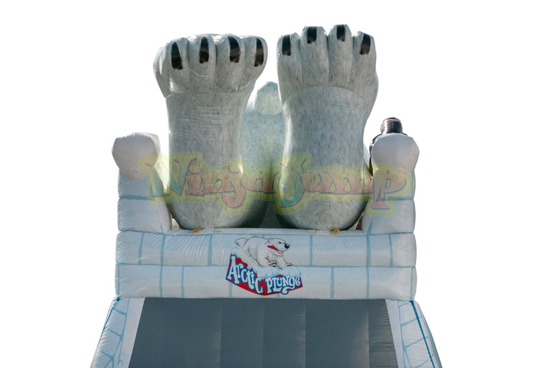 Arctic Plunge with Polar Bear-BB1580