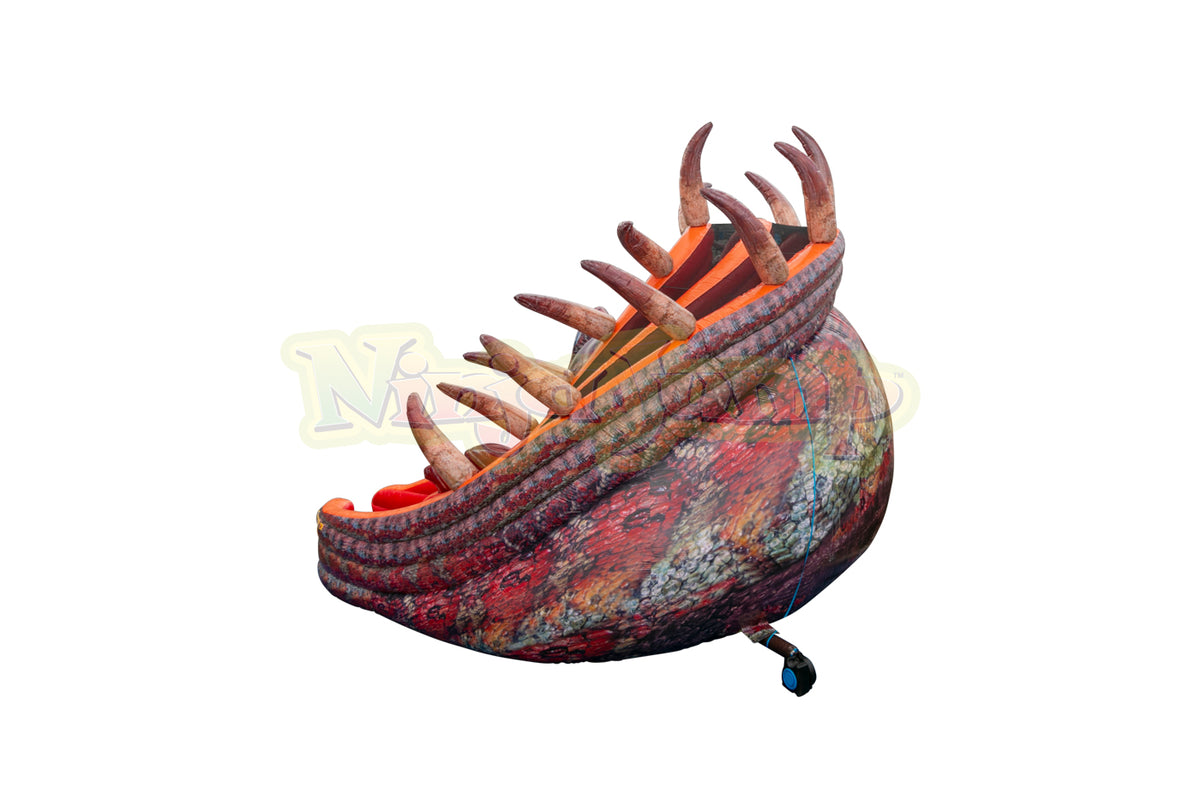 ヤーマンさんBUCEPHALANDRA Nanga Pino SuperBlue Super Blue Pinoh – Chichi's Planted Dreams